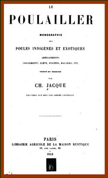 portrait de Ch.Jacque � l'�ge de 